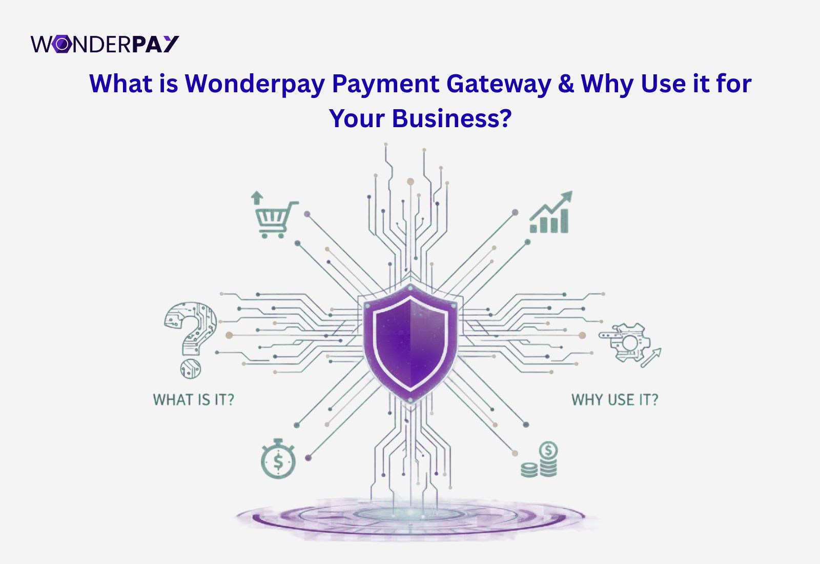 Why Choose Wonderpay Payment Gateway In India for Businesses